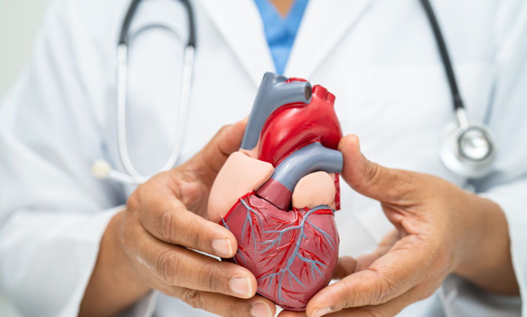 Cardiovascular Health: